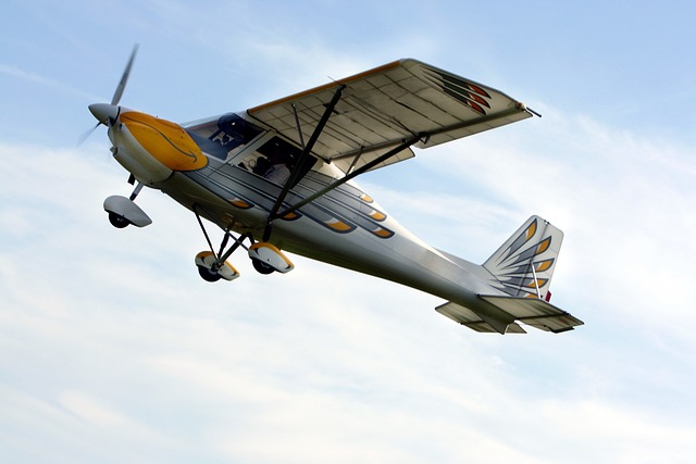  3 Reasons Light Sport Aircraft are gaining popularity. 